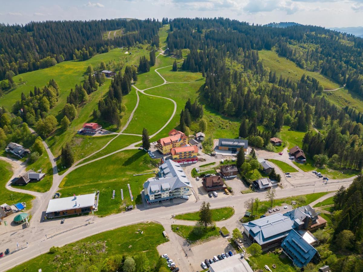 Appartement Auerhuhn à Feldberg  Extérieur photo